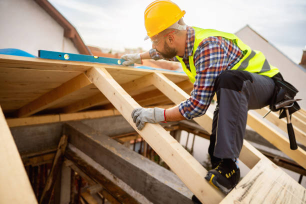 Best Roof Gutter Cleaning  in Fall River, WI