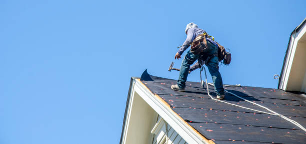 Roof Waterproofing Services in Fall River, WI